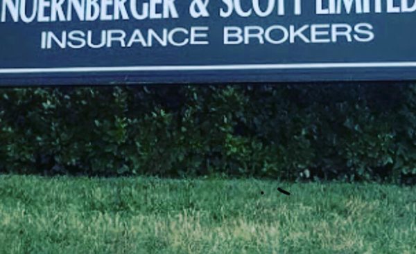 Ives Insurance is growing!