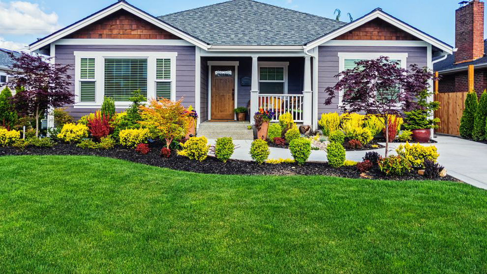 A classically modern-looking home with a well-manicured lawn and front garden.